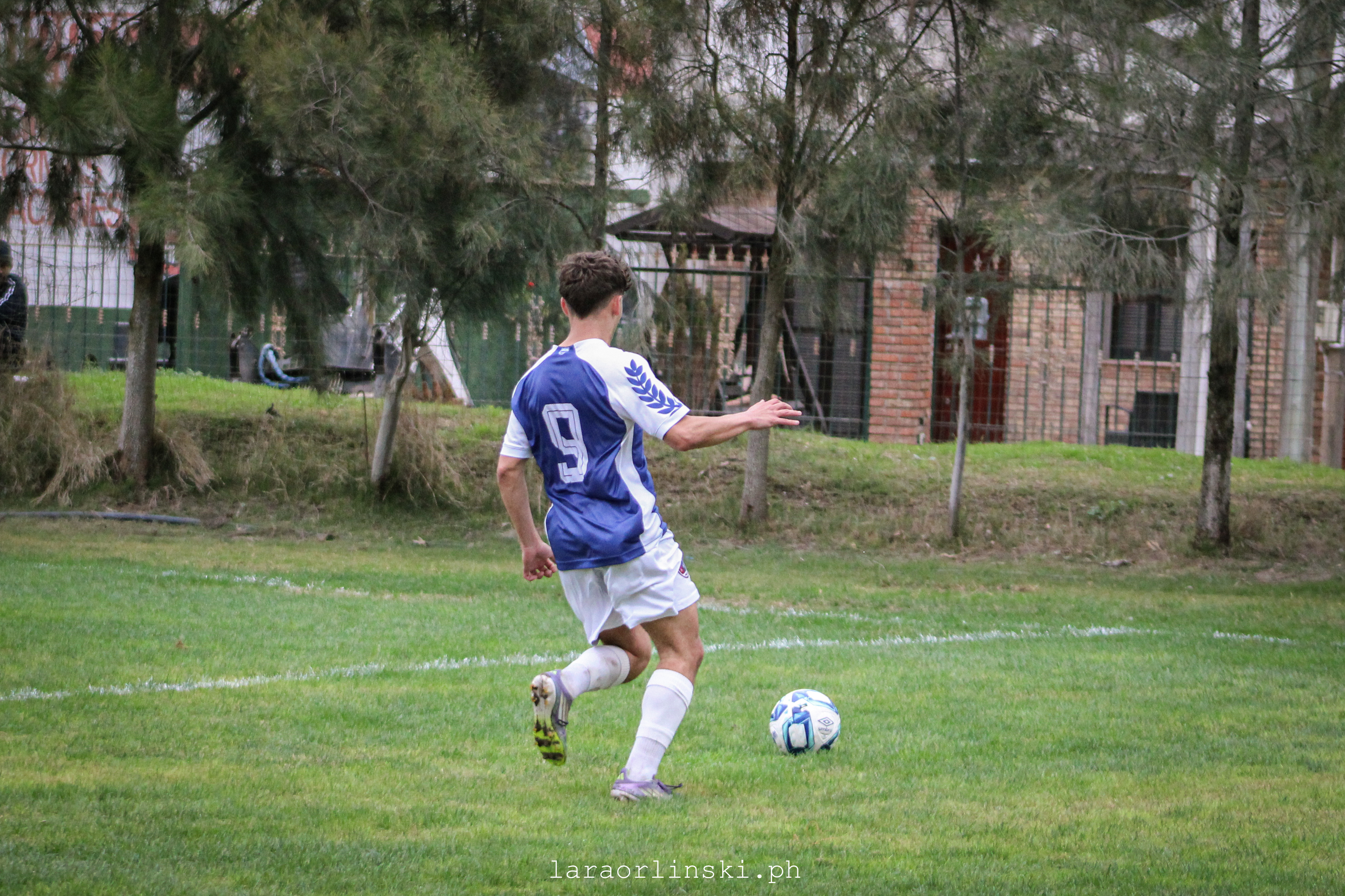 David